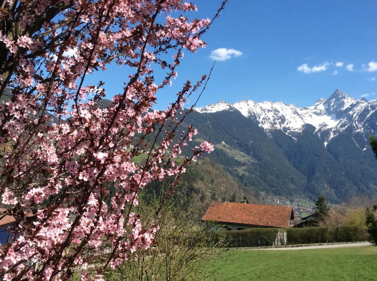 Double Room With A Kitchenette And Private Bathroom In A Beautiful Surrounding Sautens Kültér fotó
